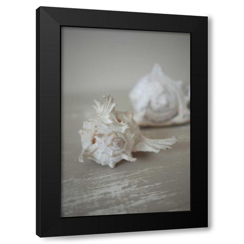 Shell Duo Black Modern Wood Framed Art Print by P.S. Art Studios