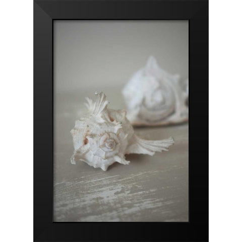 Shell Duo Black Modern Wood Framed Art Print by P.S. Art Studios