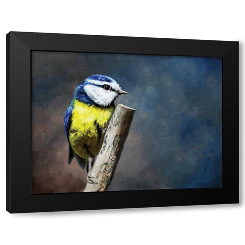 Overwatch Bird Black Modern Wood Framed Art Print with Double Matting by P.S. Art Studios