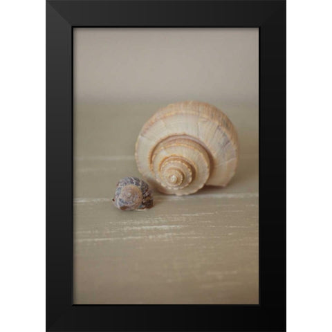 Shells on Beige III Black Modern Wood Framed Art Print by P.S. Art Studios