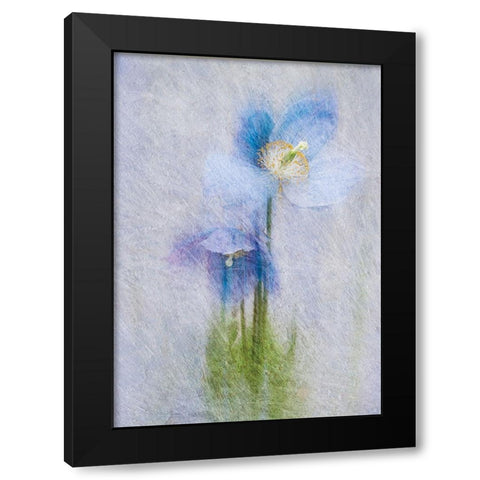 Violet Flowers Black Modern Wood Framed Art Print with Double Matting by P.S. Art