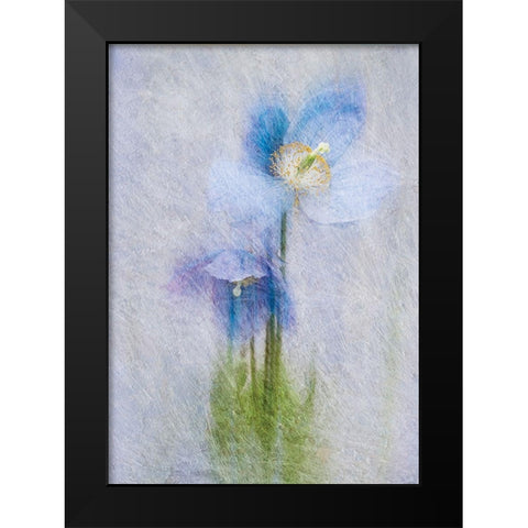 Violet Flowers Black Modern Wood Framed Art Print by P.S. Art