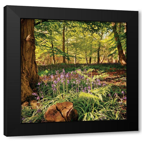 Forest Black Modern Wood Framed Art Print by P.S. Art