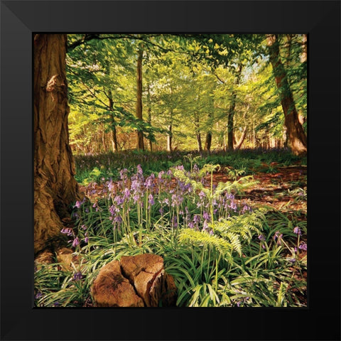 Forest Black Modern Wood Framed Art Print by P.S. Art