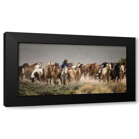 Gallop On Black Modern Wood Framed Art Print with Double Matting by PBurchettPhoto