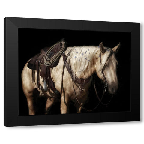 Lavender Black Modern Wood Framed Art Print with Double Matting by PBurchettPhoto