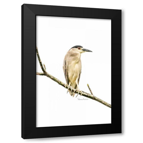 Amazon Heron Black Modern Wood Framed Art Print with Double Matting by Murdock, Ramona