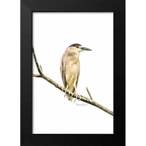 Amazon Heron Black Modern Wood Framed Art Print by Murdock, Ramona