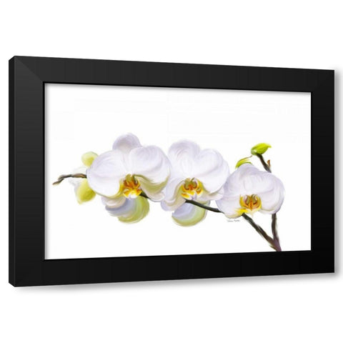 White Orchids Black Modern Wood Framed Art Print by Murdock, Ramona