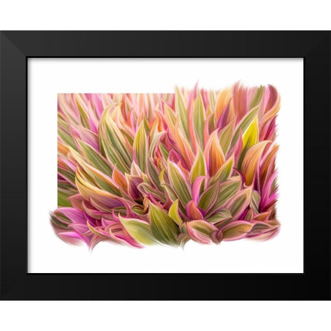 Snake Plant Black Modern Wood Framed Art Print by Murdock, Ramona