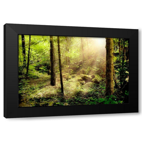 Sunshine from Above Black Modern Wood Framed Art Print by Murdock, Ramona