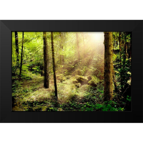 Sunshine from Above Black Modern Wood Framed Art Print by Murdock, Ramona