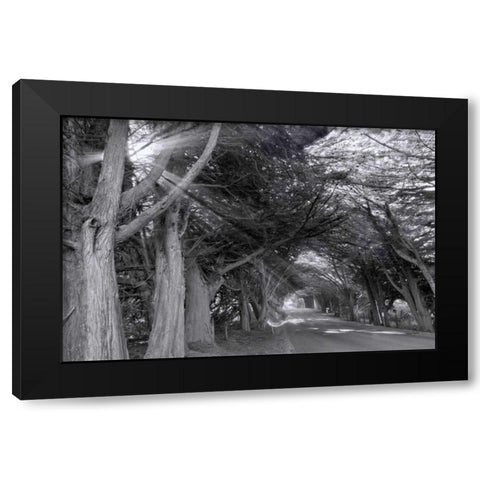 Spooky Black Modern Wood Framed Art Print by Murdock, Ramona