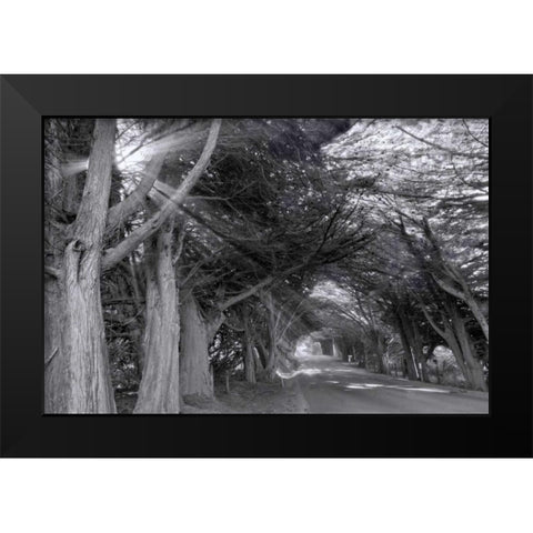 Spooky Black Modern Wood Framed Art Print by Murdock, Ramona