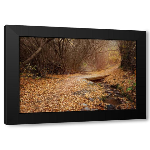 City Creek Black Modern Wood Framed Art Print by Murdock, Ramona