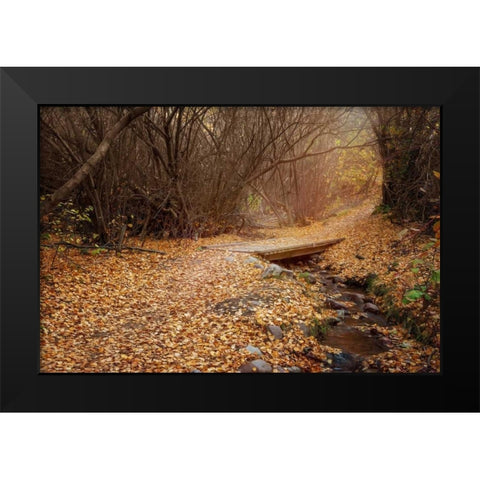 City Creek Black Modern Wood Framed Art Print by Murdock, Ramona
