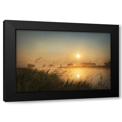 Misty Morning Black Modern Wood Framed Art Print by Murdock, Ramona