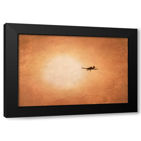 Early Morning Flight Black Modern Wood Framed Art Print by Murdock, Ramona