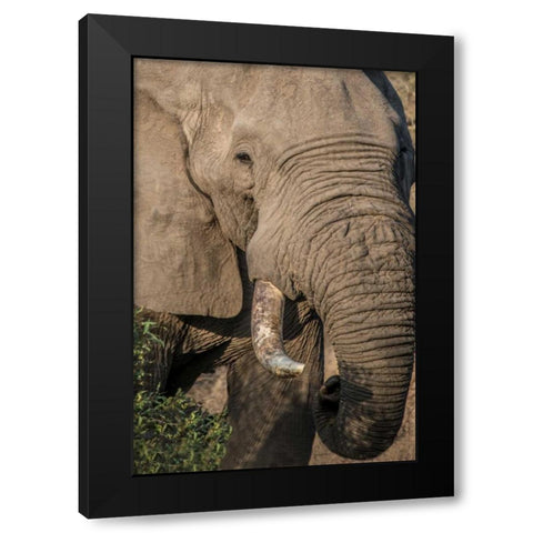 The Big Boss Black Modern Wood Framed Art Print by Murdock, Ramona