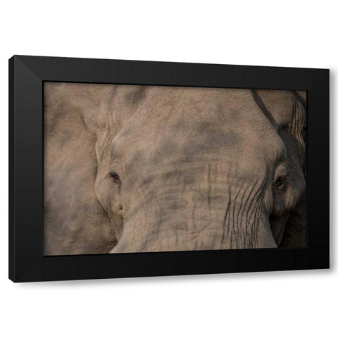 Nellie Phant Black Modern Wood Framed Art Print with Double Matting by Murdock, Ramona