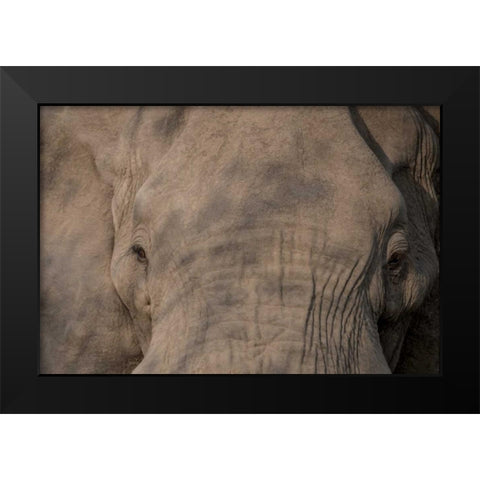 Nellie Phant Black Modern Wood Framed Art Print by Murdock, Ramona