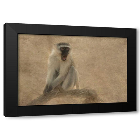 Primate Black Modern Wood Framed Art Print by Murdock, Ramona