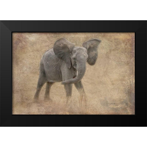 Young Buck Black Modern Wood Framed Art Print by Murdock, Ramona