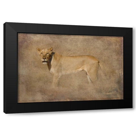 Queen Black Modern Wood Framed Art Print by Murdock, Ramona