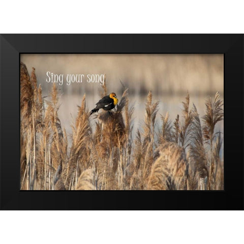 Sing II Black Modern Wood Framed Art Print by Murdock, Ramona