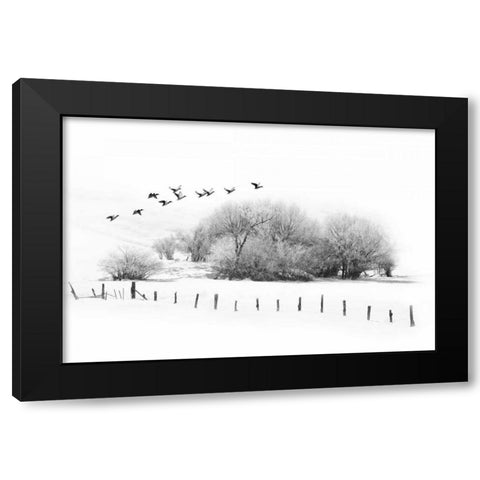 Frosty Flight Black Modern Wood Framed Art Print with Double Matting by Murdock, Ramona