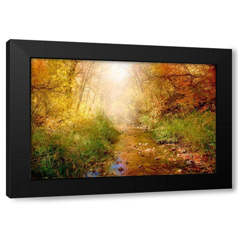 Stream of Light I Black Modern Wood Framed Art Print by Murdock, Ramona