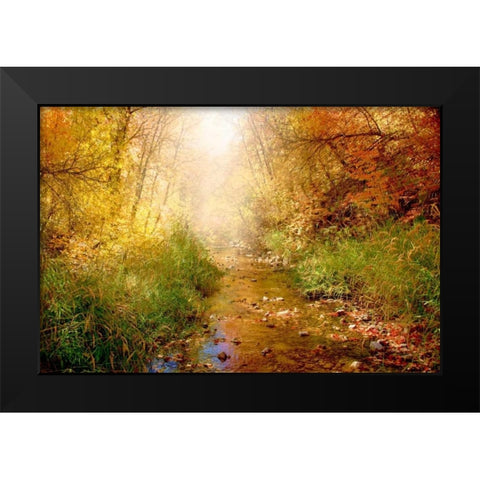 Stream of Light I Black Modern Wood Framed Art Print by Murdock, Ramona