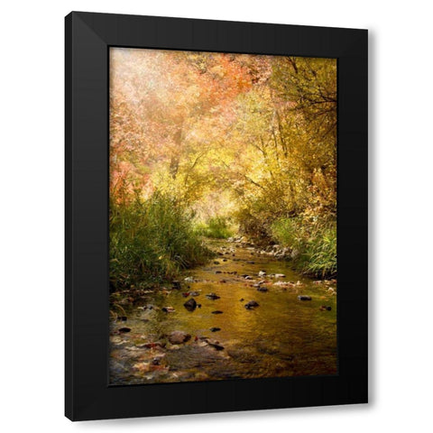 Streams of Light II Black Modern Wood Framed Art Print with Double Matting by Murdock, Ramona