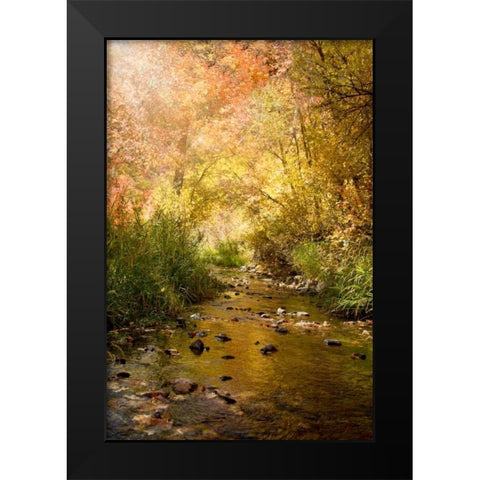 Streams of Light II Black Modern Wood Framed Art Print by Murdock, Ramona