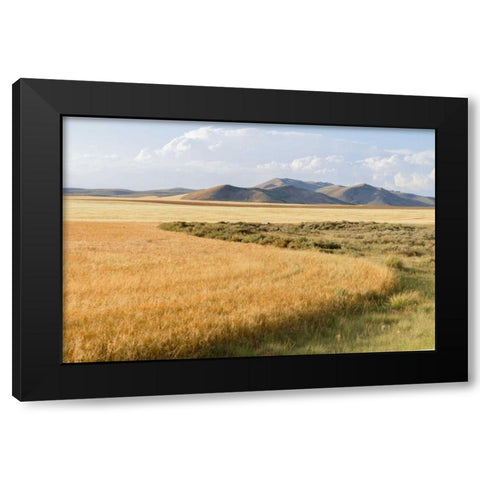 Harvest Black Modern Wood Framed Art Print by Murdock, Ramona