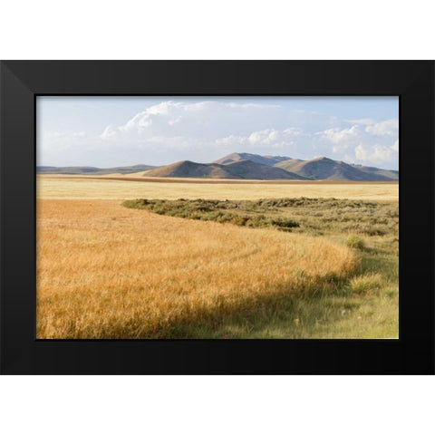 Harvest Black Modern Wood Framed Art Print by Murdock, Ramona