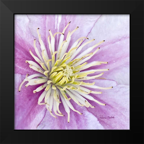 Clematis Black Modern Wood Framed Art Print by Murdock, Ramona