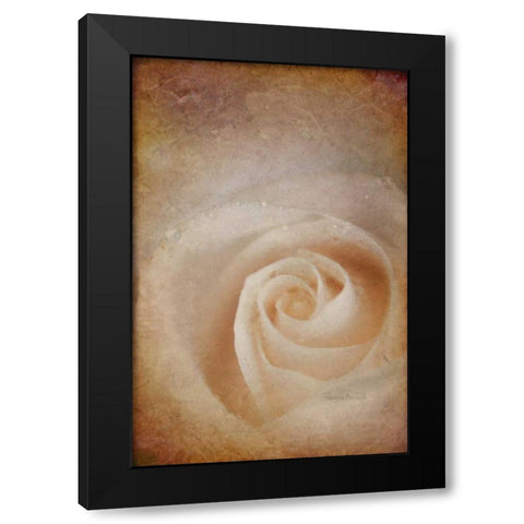 Faded Rose Black Modern Wood Framed Art Print with Double Matting by Murdock, Ramona