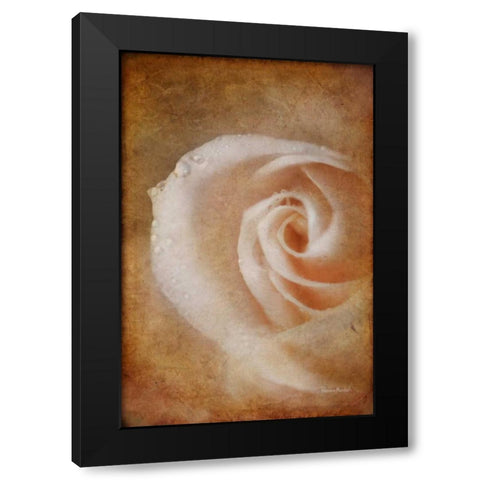 Essence of Rose Black Modern Wood Framed Art Print by Murdock, Ramona