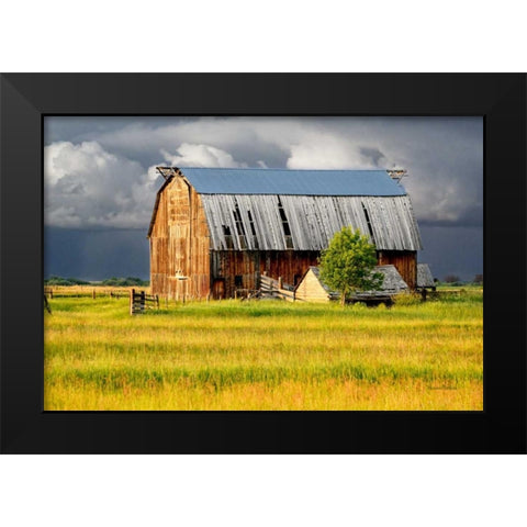 After the Storm II Black Modern Wood Framed Art Print by Murdock, Ramona