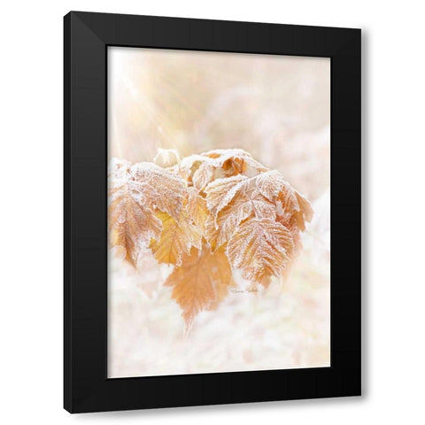 Frosted Leaves Black Modern Wood Framed Art Print with Double Matting by Murdock, Ramona