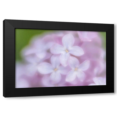 Soft Lilac Black Modern Wood Framed Art Print with Double Matting by Murdock, Ramona