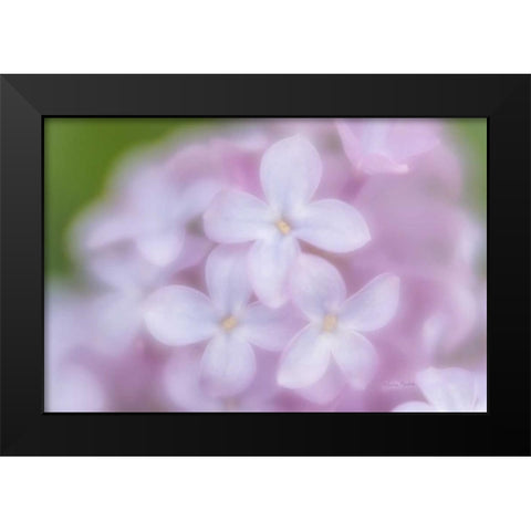 Soft Lilac Black Modern Wood Framed Art Print by Murdock, Ramona