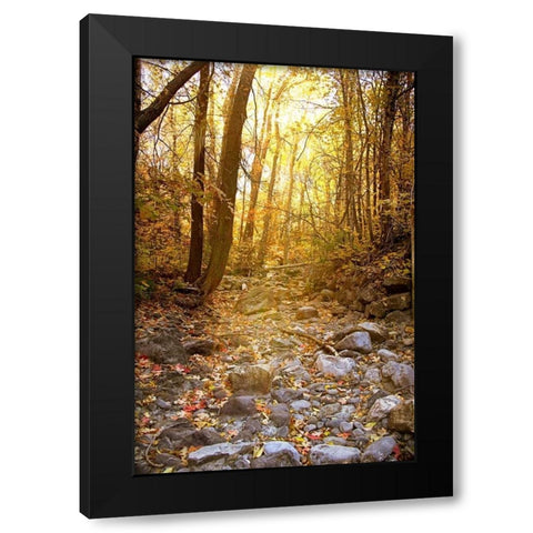 Solitude I Black Modern Wood Framed Art Print by Murdock, Ramona