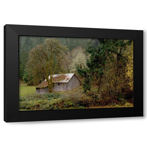 Old Shed Black Modern Wood Framed Art Print by Murdock, Ramona