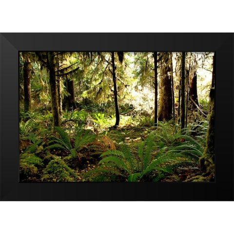 Morning Sunshine Black Modern Wood Framed Art Print by Murdock, Ramona