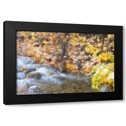 First Snow Black Modern Wood Framed Art Print by Murdock, Ramona