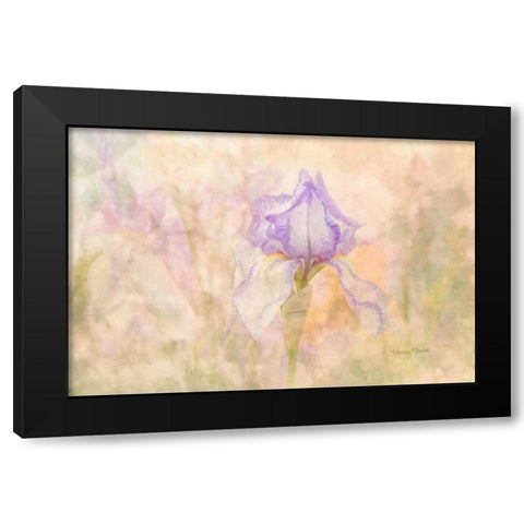 Iris in My Garden Black Modern Wood Framed Art Print with Double Matting by Murdock, Ramona