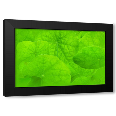 Spring Green II Black Modern Wood Framed Art Print by Murdock, Ramona