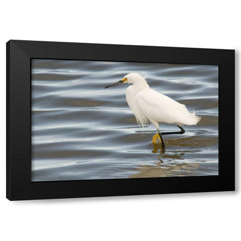 Fishin Black Modern Wood Framed Art Print by Murdock, Ramona